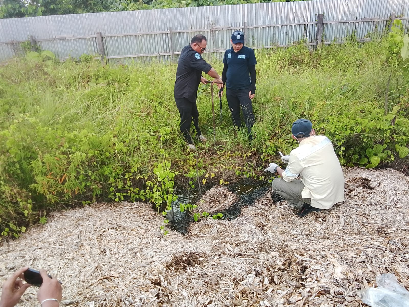 DLHP Papua Barat Pastikan Pencemaran Lingkungan oleh PT SAPB Berdasarkan Hasil Uji Laboratorium