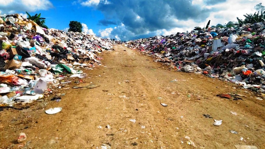 Pemprov Papua Barat Jajaki Investasi PLTSa di Manokwari untuk Atasi Sampah dan Hasilkan Listrik